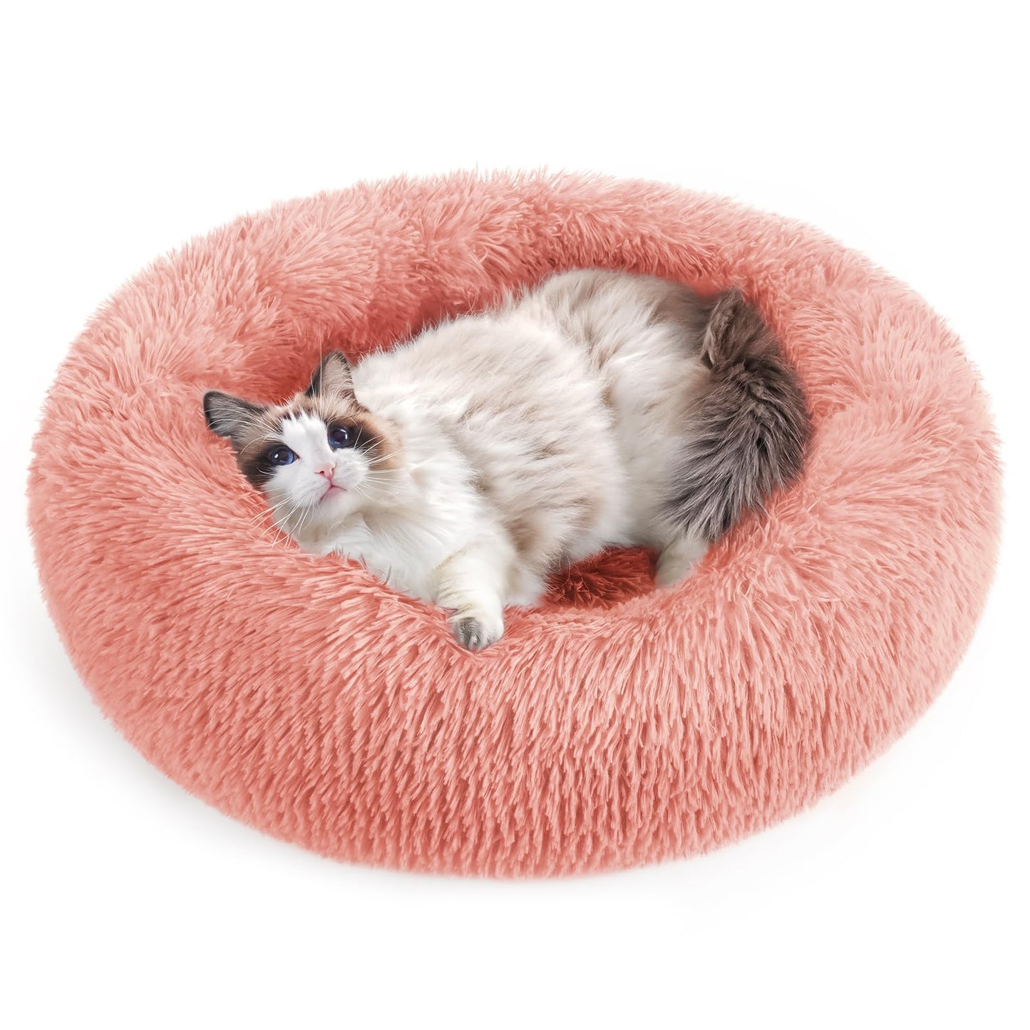 rabbitgoo Cat Bed for Indoor Cats, Soft Plush Donut Cuddler Cushion Pet Bed, Fluffy Round Bed, Self Warming Calming Bed for Small Dogs Kittens, Non-Slip, Machine Washable, Dark Grey, M