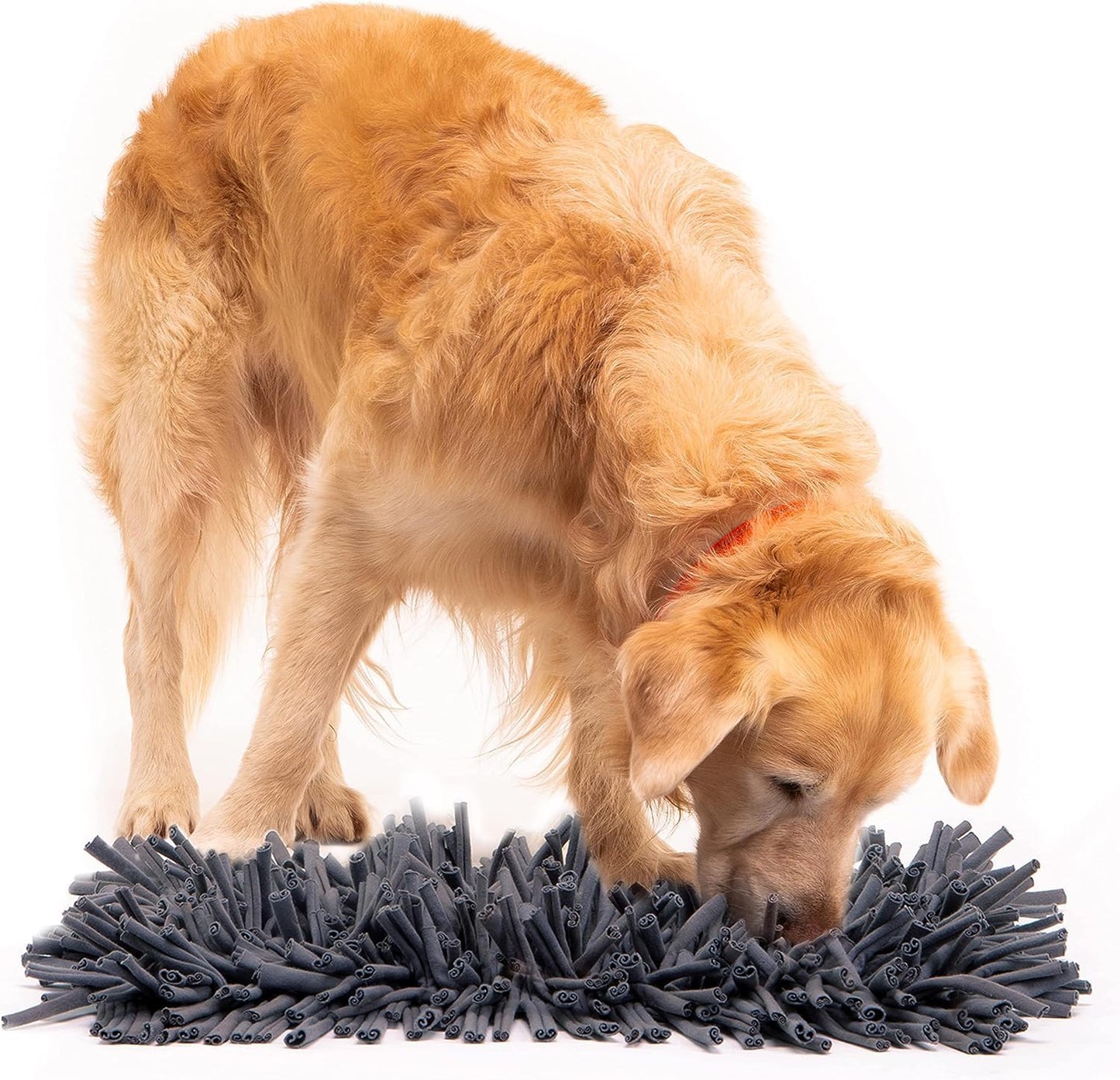 "Elevate playtime and mealtime with Paw 5's Small Dog Snuffle Mat – reducing boredom and anxiety while providing brain-stimulating fun and slow feeding benefits, plus a cozy small dog bed included!"